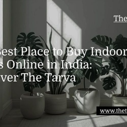 The Best Place to Buy Indoor Plants Online in India: Discover The Tarva