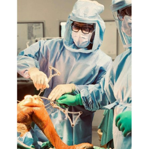 The Precision Revolution; Robotic Joint replacement an Article by Dr Dibya Singha